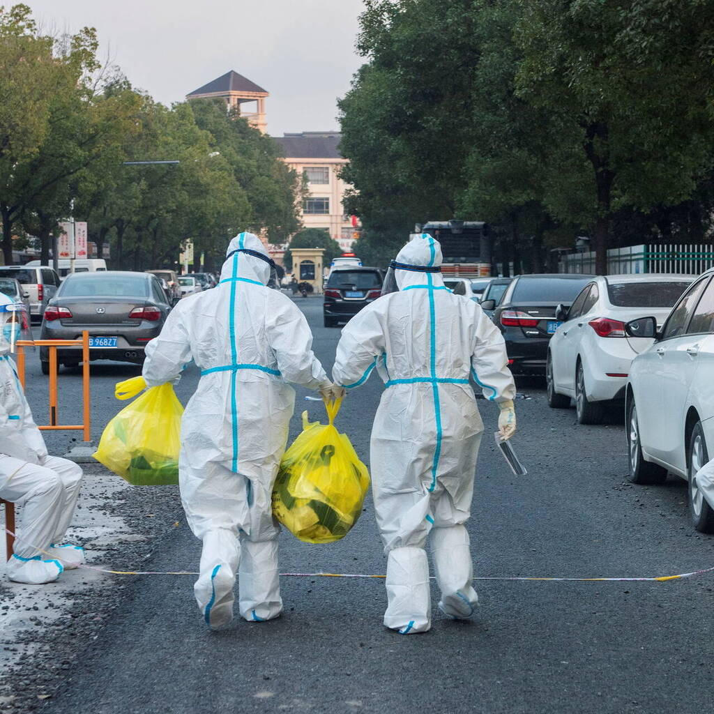 Вывести труп собаки, кошки в городе Электросталь Московской области